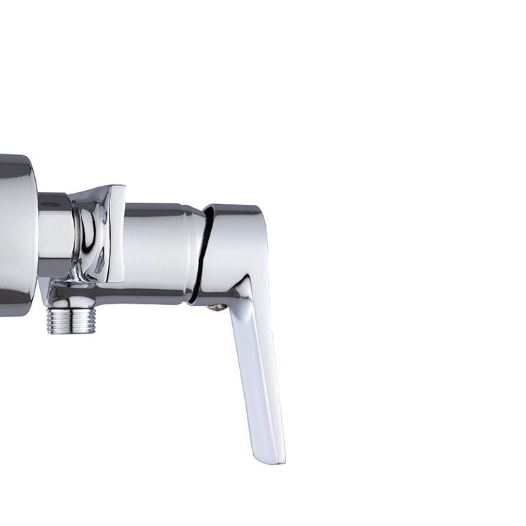 Shower Faucet